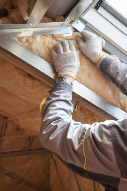 Best Insulation Removal Services  in Black Mountain, NC