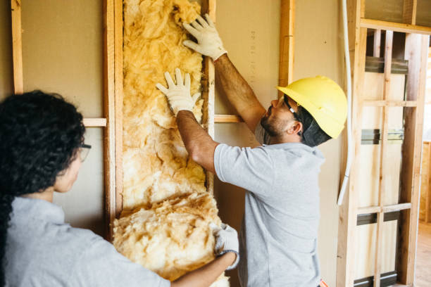 Best Insulation Contractors for Homes  in Black Mountain, NC