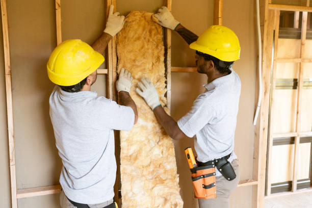 Best Insulation Inspection Services  in Black Mountain, NC
