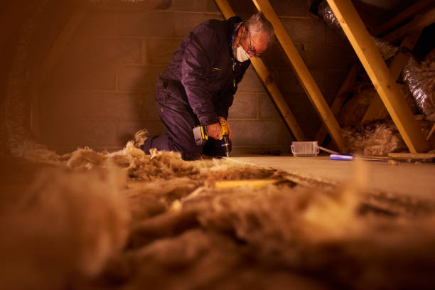 Best Insulation for New Construction  in Black Mountain, NC